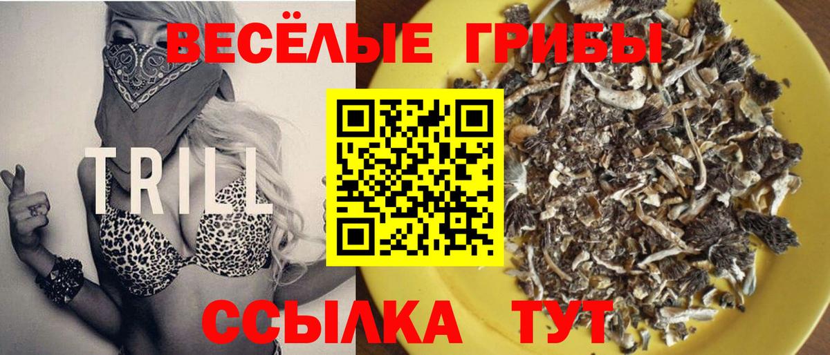 Галлюциногенные грибы Psilocybine cubensis  купить наркотики сайты  Бузулук  Вход с VPN 