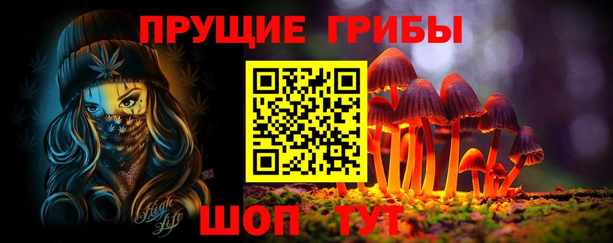 Псилоцибиновые грибы мухоморы Бузулук